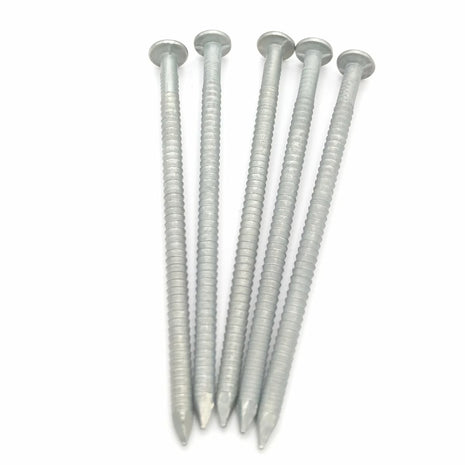 Gwoździe pierścieniowe ocynkowane 3,0x80mm – gwoździe ustawione pionowo, widok łebków
